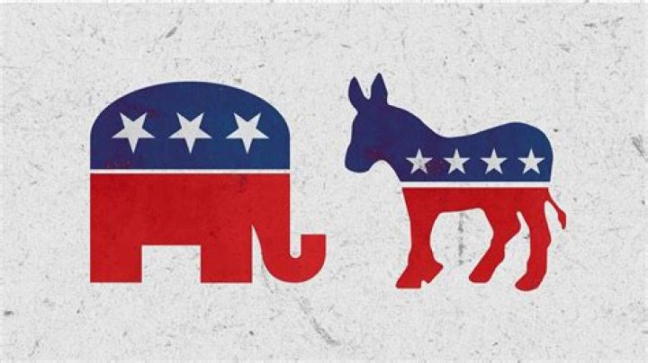 Rihanna's Political Party: Republican or Democrat?