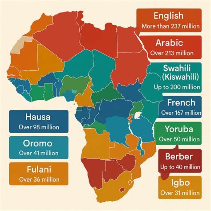 What Languages Does will.i.am Speak?